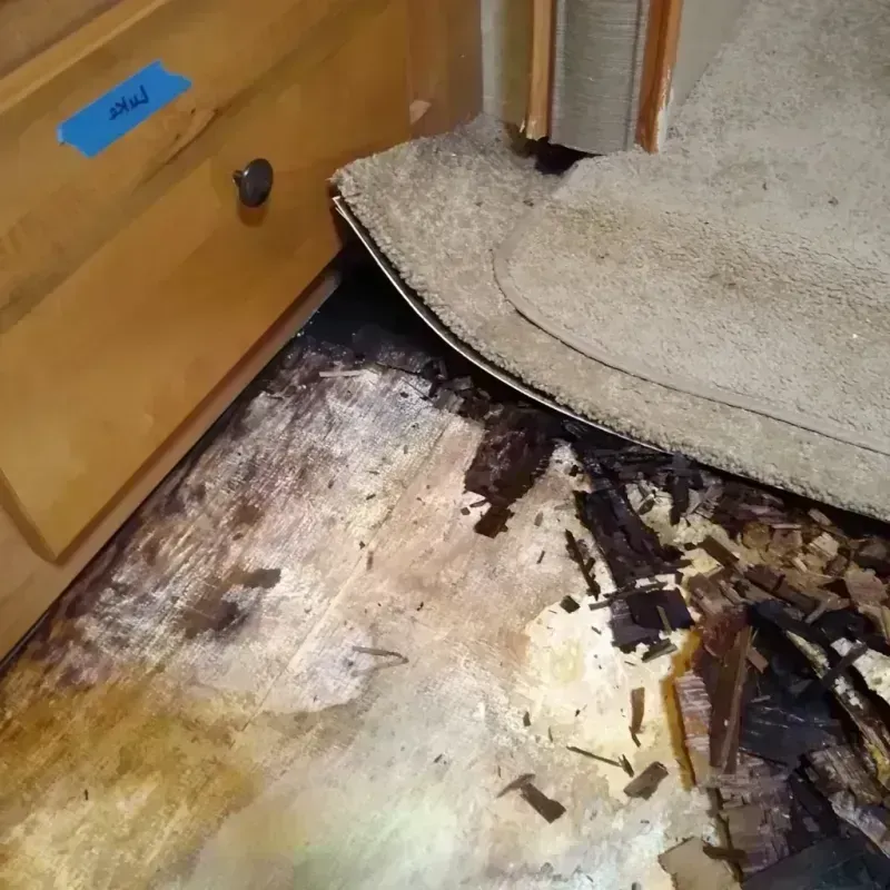 Wood Floor Water Damage in Essex County, VA